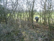 Ukliďme Česko - ukliďme cestu do lesa